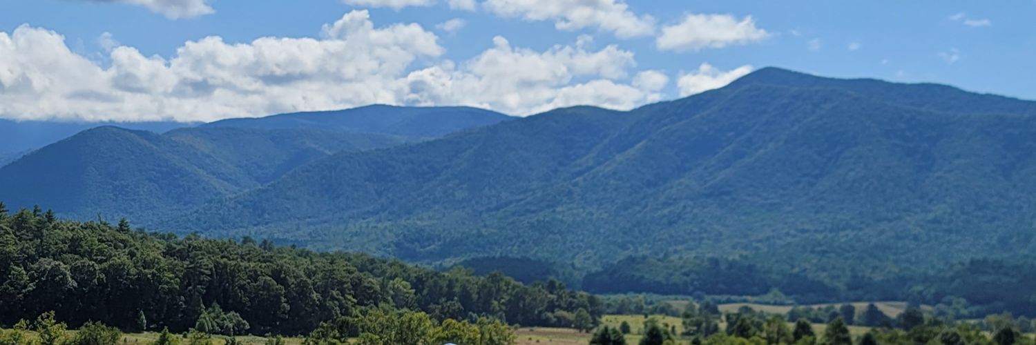heytyroner's profile banner image