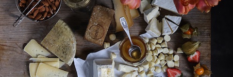 Inga Āriņa Vilne banner