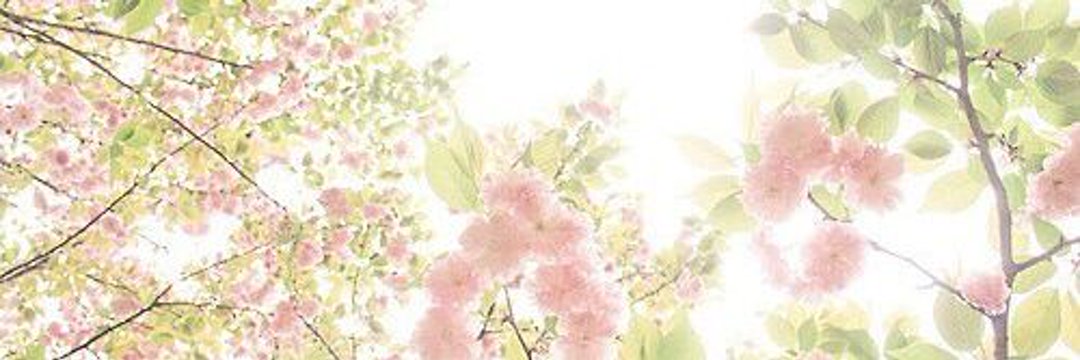 KirariPopcorn's profile banner image