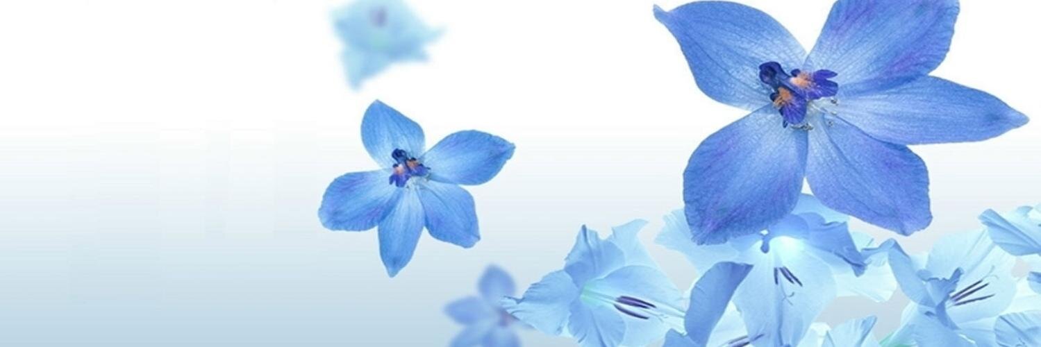 PIDMalang's profile banner image