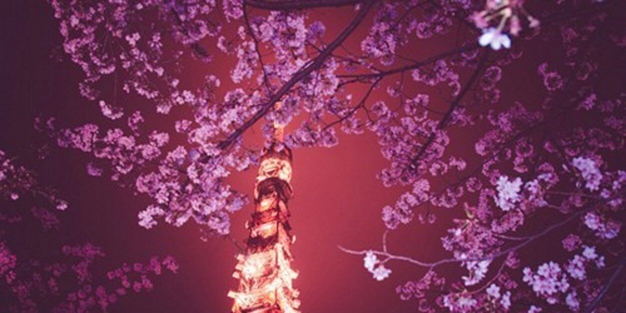 RJProxy1's profile banner image