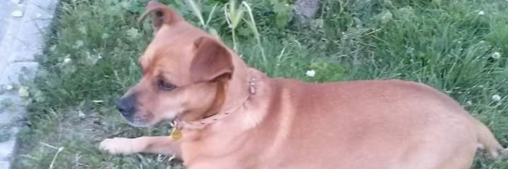 Chucky_1995's profile banner image