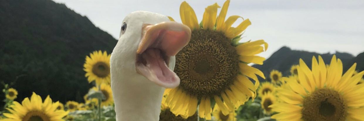 G_labiWQ's profile banner image