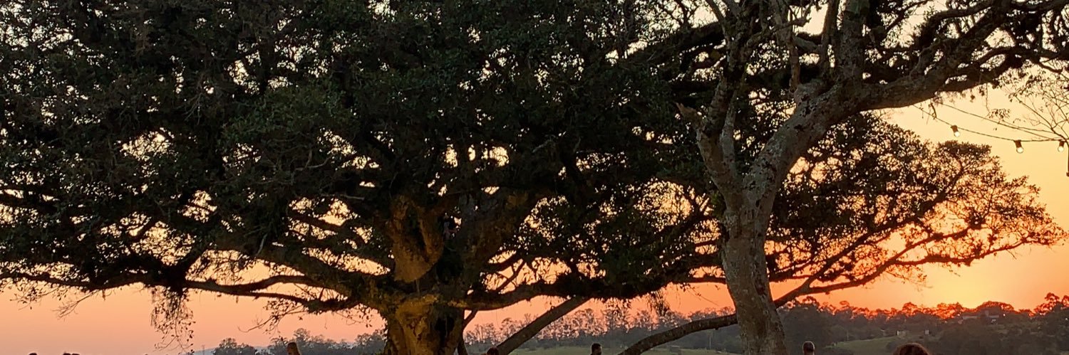 natipolesello_'s profile banner image