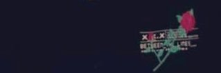 Trainerlyric's profile banner image