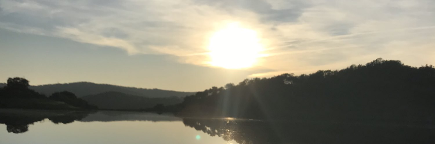 mcarmengo_'s profile banner image