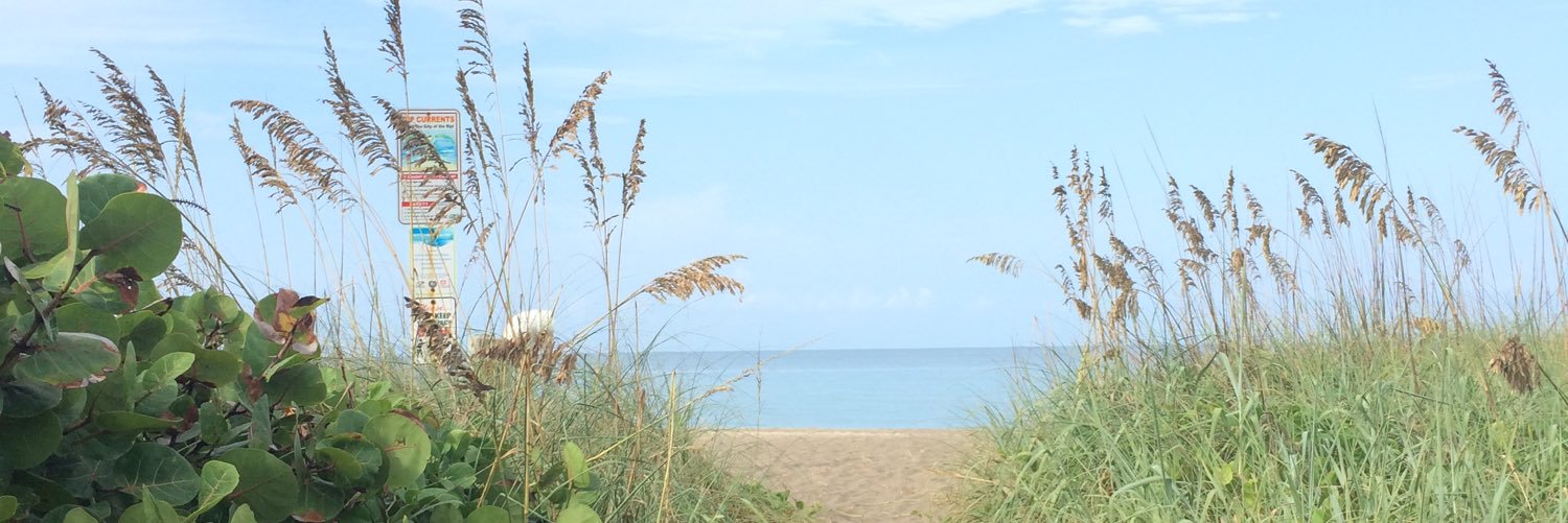 StaleyMackenzie's profile banner image
