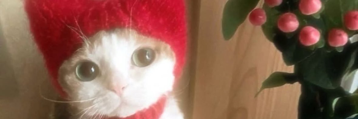 julesdiorrr's profile banner image