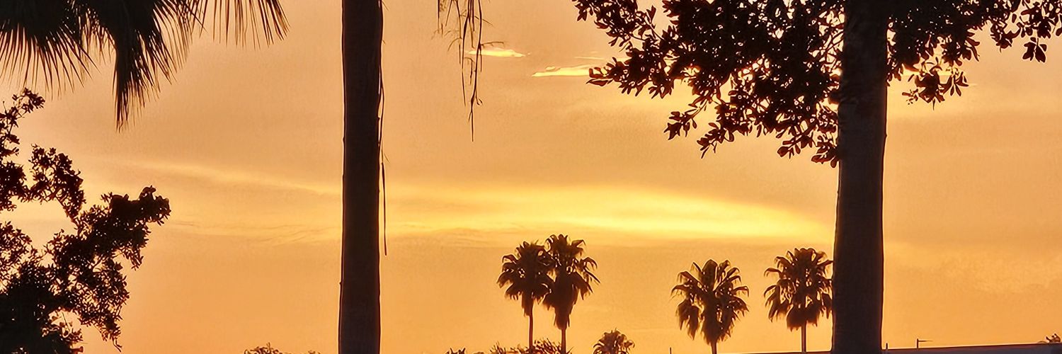 daaaaanyell7's profile banner image