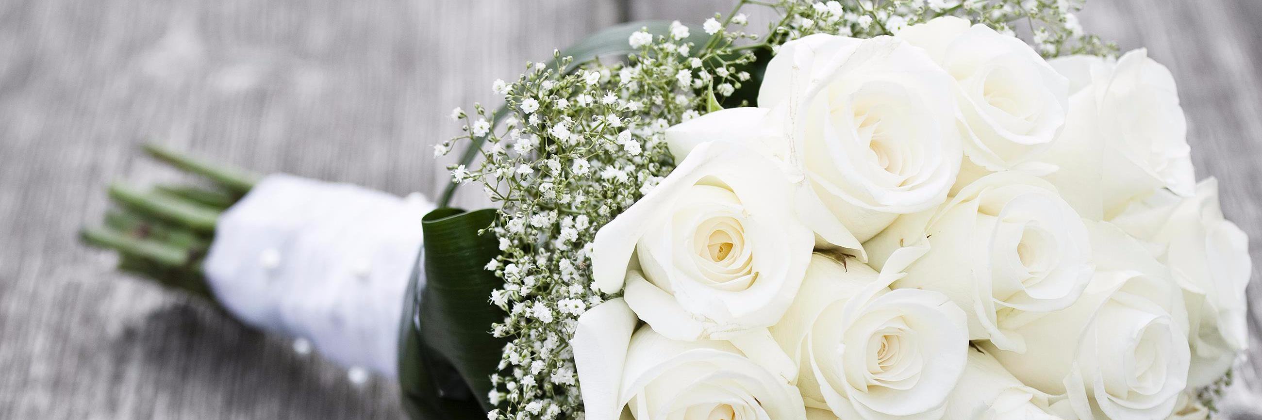 beaudryflowers's profile banner image