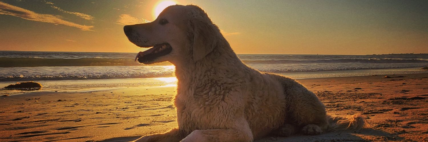 IMPEACH TRUMP banner