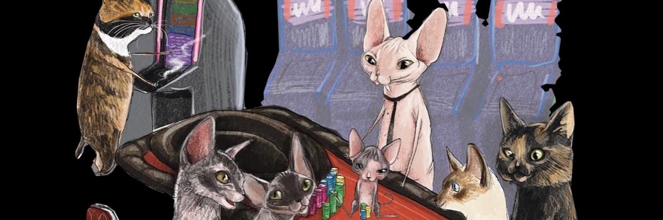 LLTheFunkyBunch's profile banner image