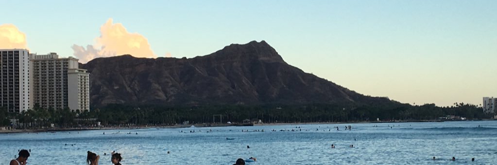 Dale Manelski banner