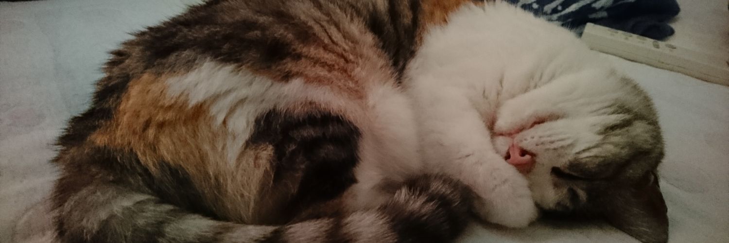 gofuo54it's profile banner image