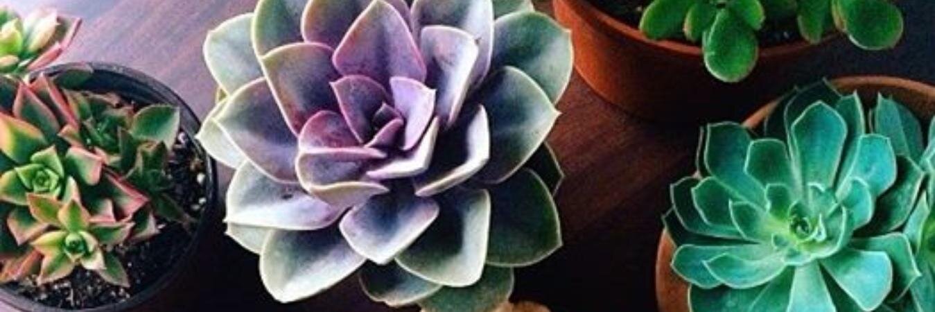 MaffMoran's profile banner image