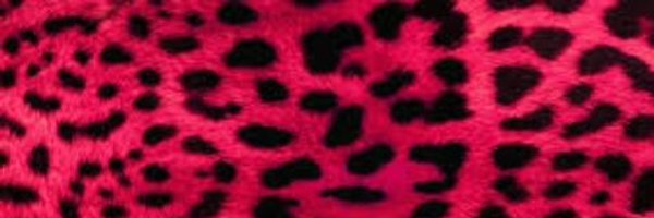 e_edwa Profile Banner