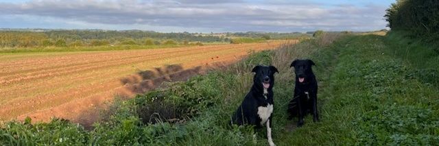 Peter Robertson banner