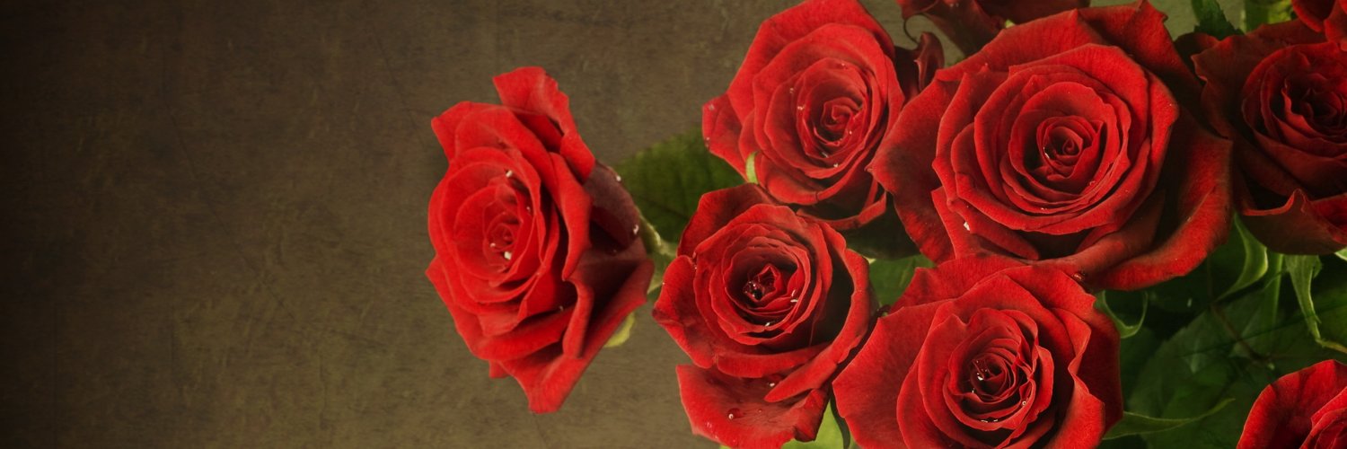 SuzanneG1970's profile banner image