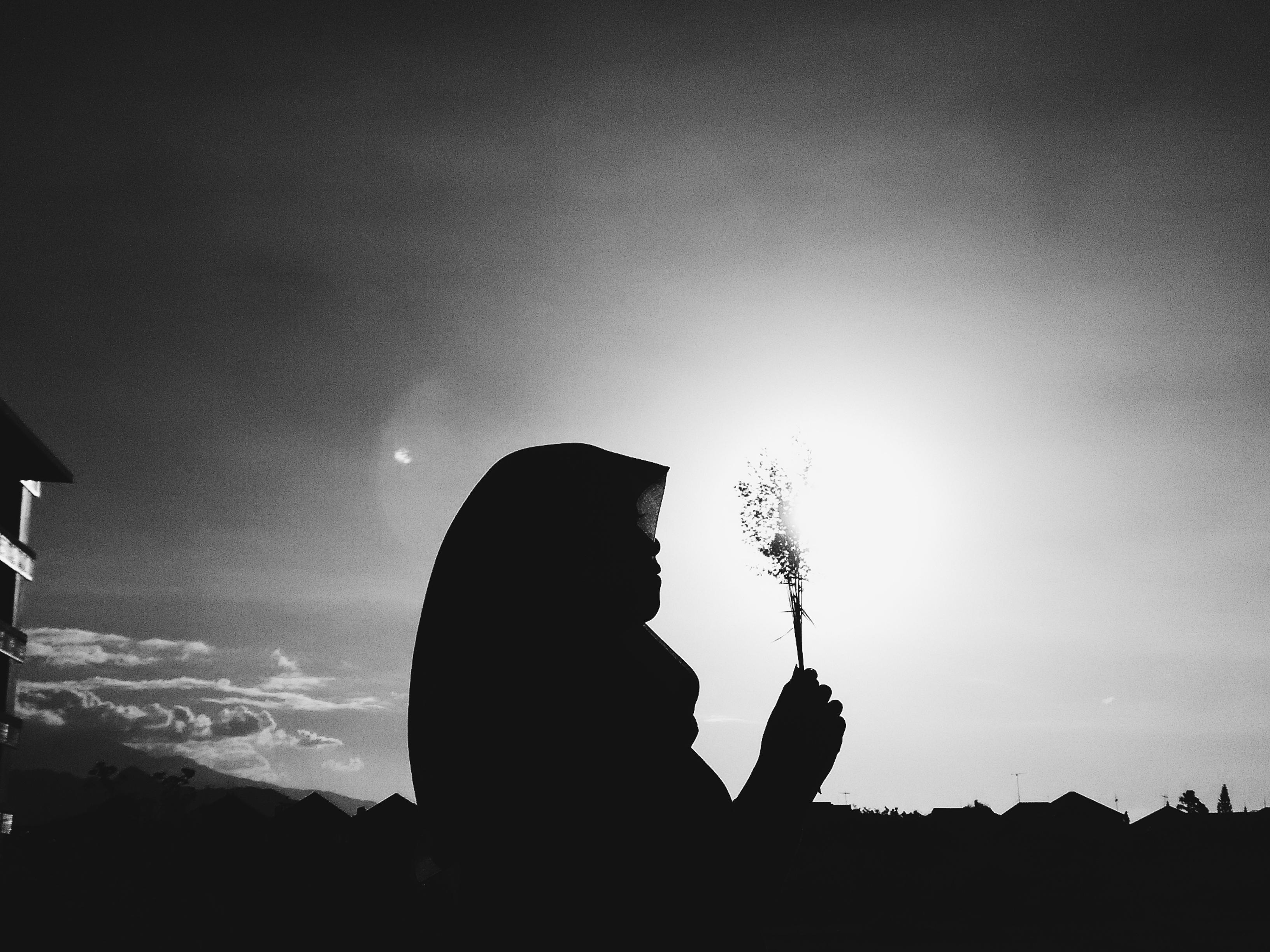 anestidian's profile banner image