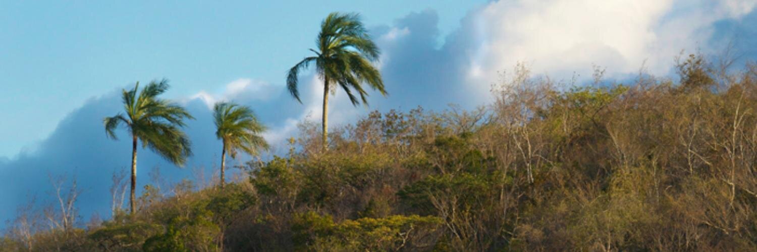 LaCuaBirding's profile banner image