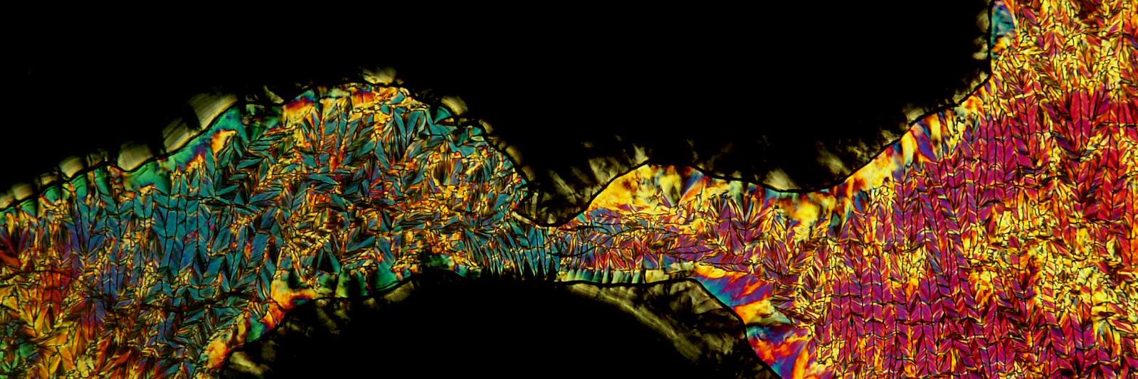 John Christensen banner