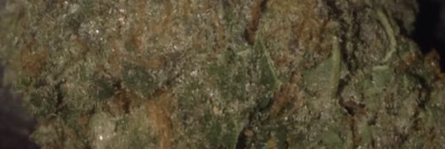 jack_daFLIPPER's profile banner image