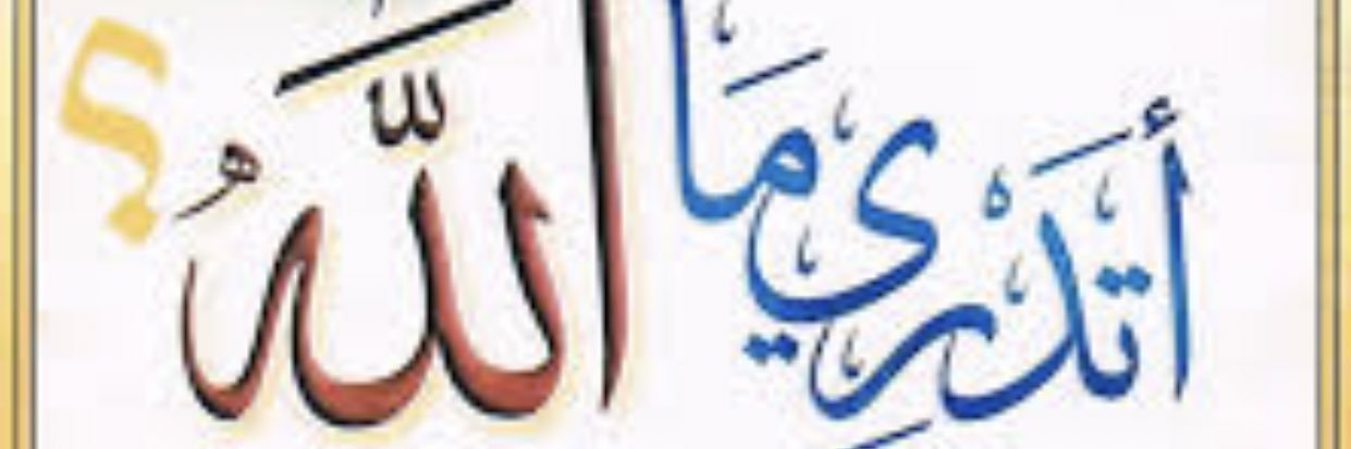 Mizar banner