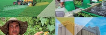 agroindupb's profile banner image