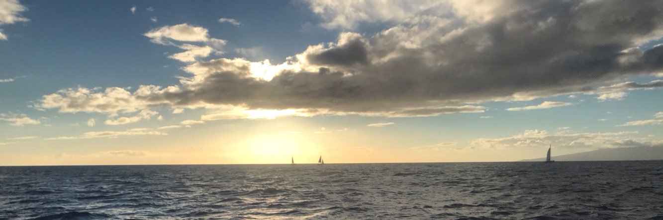 waldooo1996's profile banner image