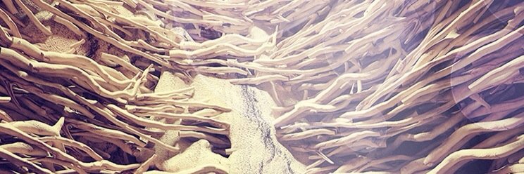 pantanopallet's profile banner image