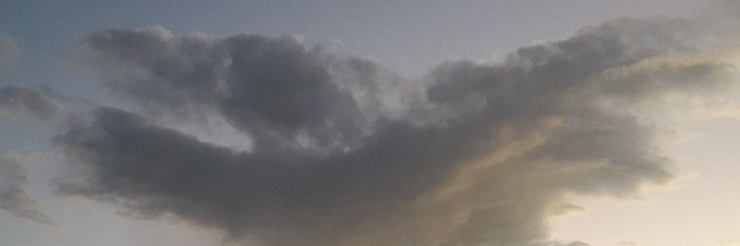 Faloperus's profile banner image