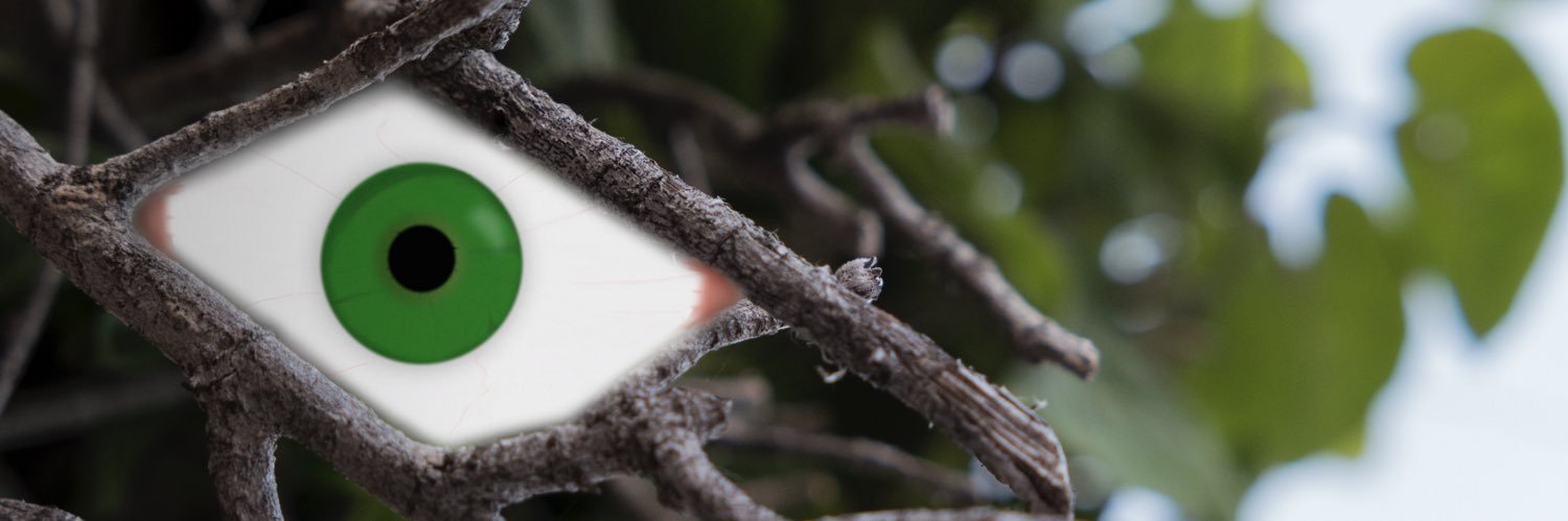 CalebGarrett6's profile banner image