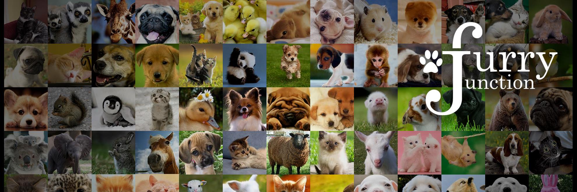 Furry Junction banner