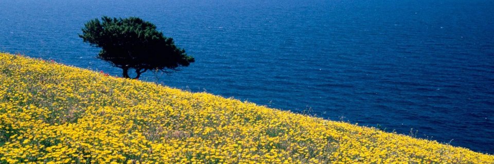 Ourhobbies's profile banner image