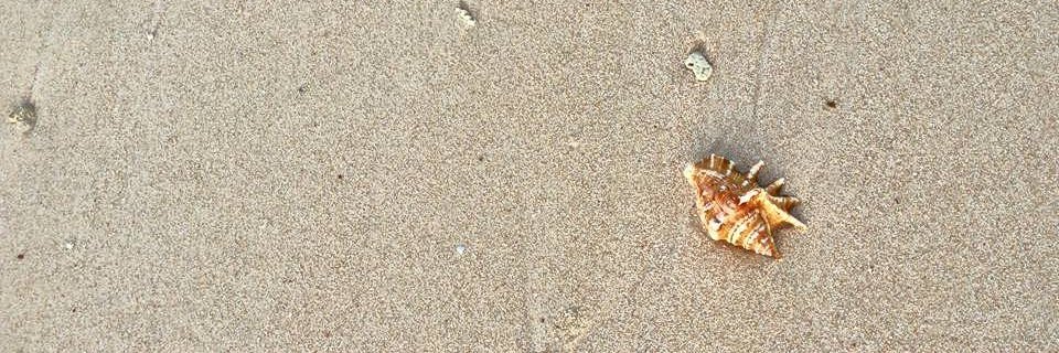 KJLM2910's profile banner image