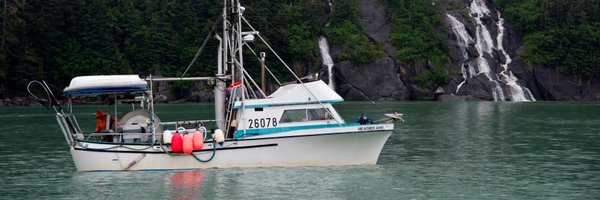 Sea2Table Profile Banner