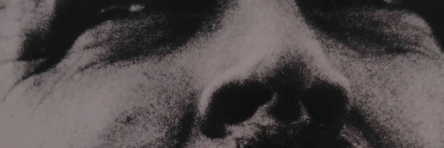 Fuser69Mariel's profile banner image