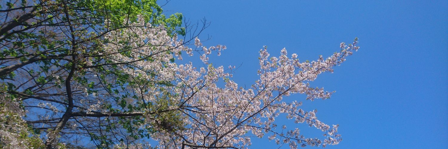 sorairo14bc's profile banner image