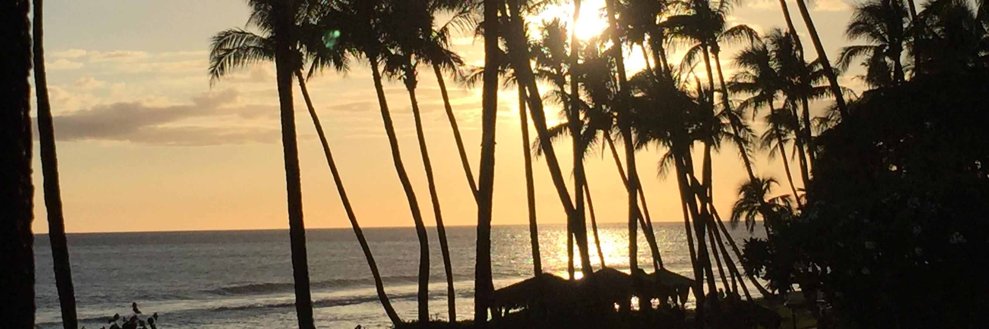 ChristyWilsonCA's profile banner image