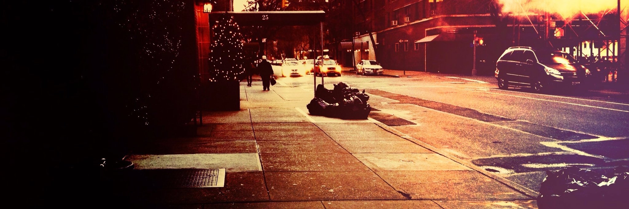 Turtle_Grove's profile banner image