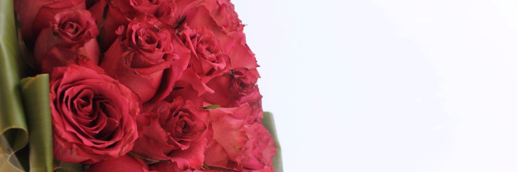 noofmk1's profile banner image