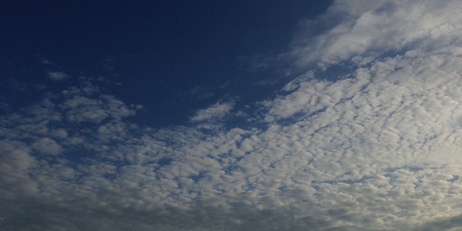 adsmomo's profile banner image