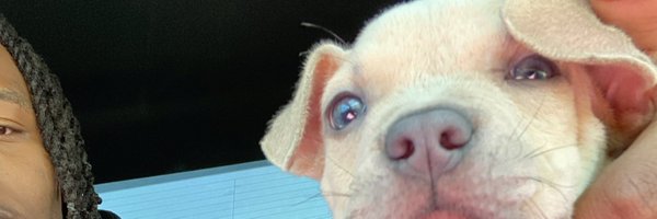 jusdoesit___ Profile Banner