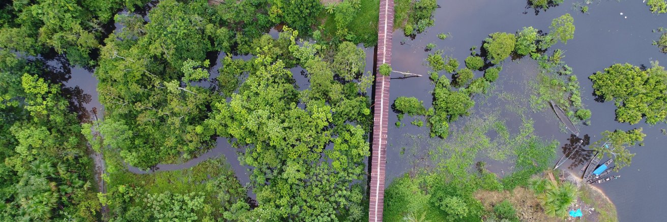 Gabriel Carrasco-Escobar banner