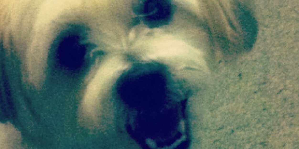CraigBri's profile banner image