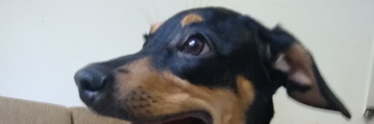 jimmyygor's profile banner image