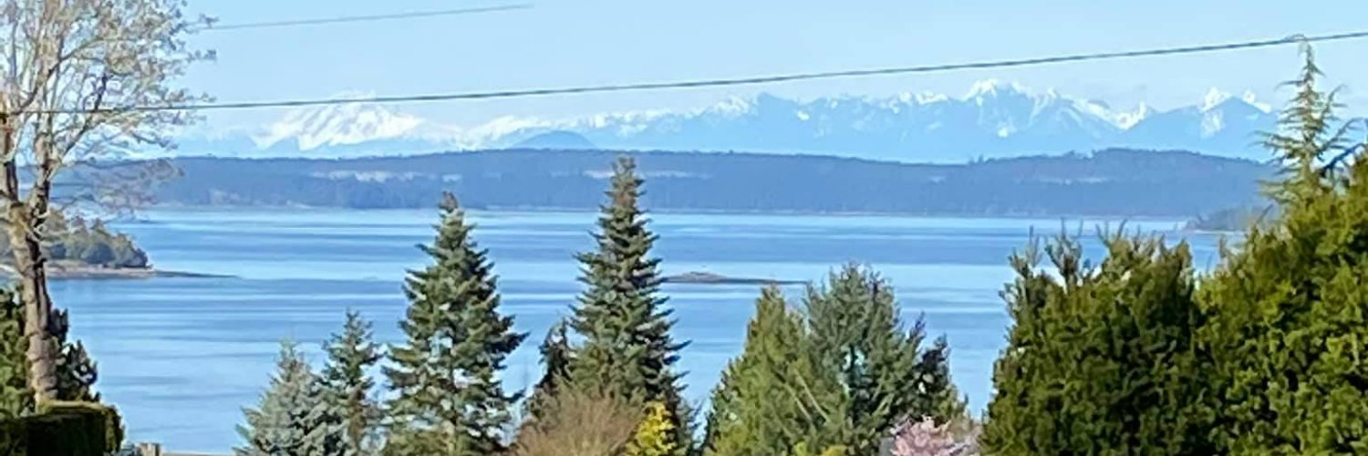 luvpei's profile banner image