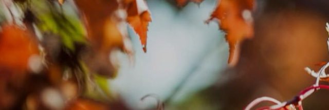 KarlRids's profile banner image