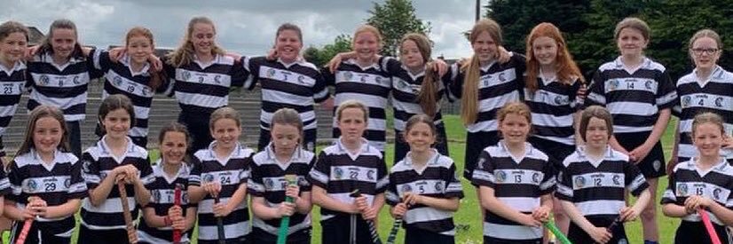 Midleton Camogie banner