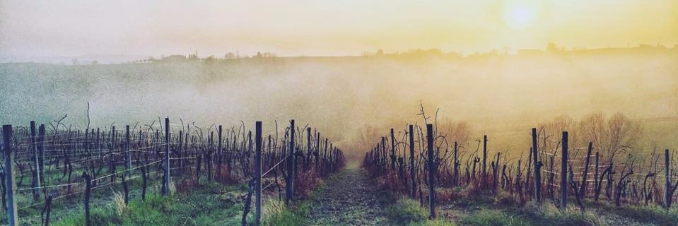 Matthew Edwards banner